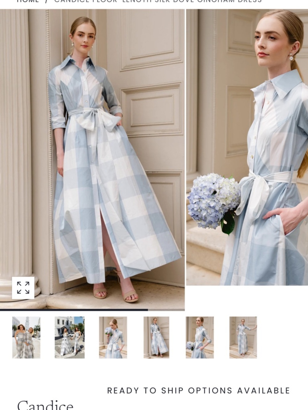 Dove Gingham Shirt Gown in Light Blue and White